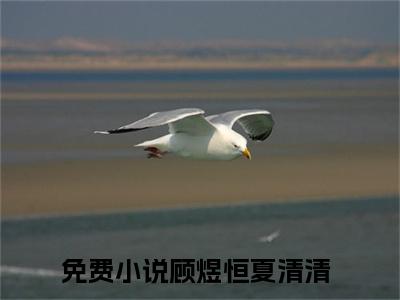 顾煜恒夏清清（顾煜恒夏清清全文阅读） 顾煜恒夏清清新书热荐免费小说