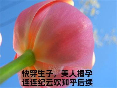 快穿生子，美人福孕连连纪云欢（快穿生子，美人福孕连连纪云欢）免费阅读-小说快穿生子，美人福孕连连纪云欢免费观看