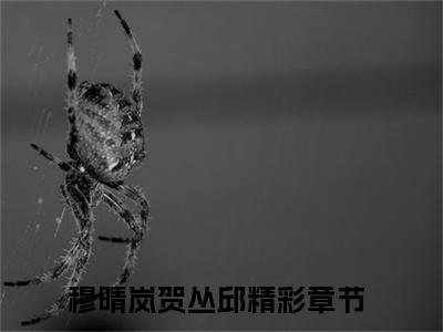 穆晴岚贺丛邱（穆晴岚贺丛邱小说）全文免费阅读无弹窗大结局_穆晴岚贺丛邱全文免费阅读（穆晴岚贺丛邱小说）最新章节列表_笔趣阁（穆晴岚贺丛邱）