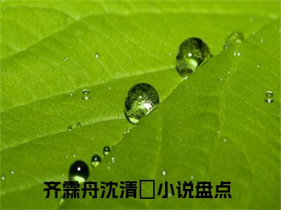 齐霖舟沈清玥热门小说在线阅读 齐霖舟沈清玥全网推荐（齐霖舟沈清玥）全文