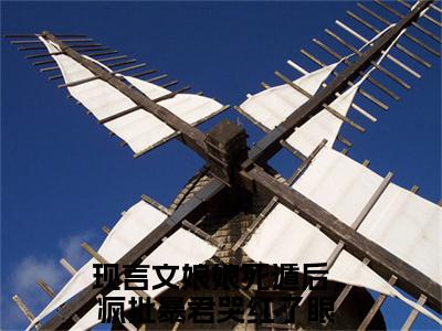 叶晚棠谢韫臣（娘娘死遁后，疯批暴君哭红了眼）全文免费阅读-小说叶晚棠谢韫臣大结
