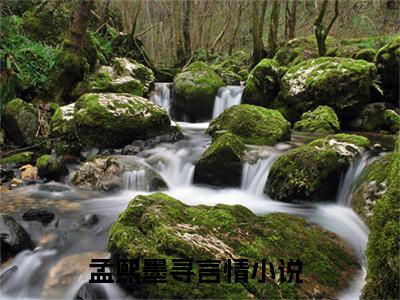 孟熙墨寻（孟熙墨寻）小说全文免费阅读大结局-孟熙墨寻全章节抖音小说