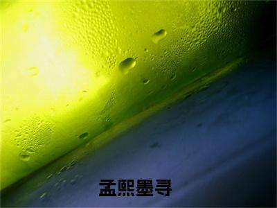 孟熙墨寻小说（孟熙墨寻）全文免费阅读无弹窗大结局_孟熙墨寻全文免费完结版阅读（孟熙墨寻）