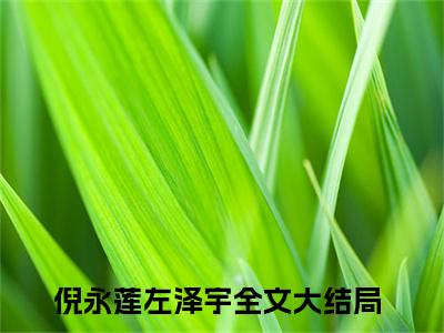 倪永莲左泽宇（倪永莲左泽宇）无广告免费阅读-小说倪永莲左泽宇最后结局如何