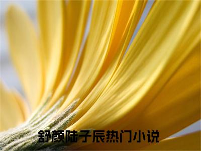 舒颜陆子辰（舒颜陆子辰）小说-舒颜陆子辰小说免费阅读