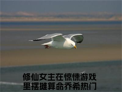 修仙女主在惊悚游戏里摆摊算命乔希（修仙女主在惊悚游戏里摆摊算命乔希全文阅读） 修仙女主在惊悚游戏里摆摊算命乔希新书热荐免费小说