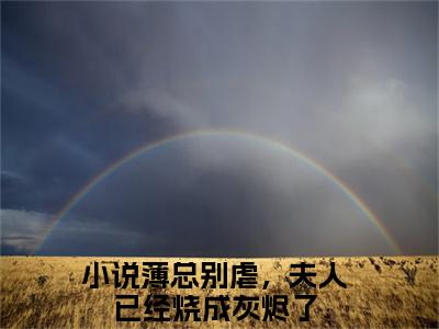 薄靳言乔星纯（薄总别虐，夫人已经烧成灰烬了）新上热文小说讲的是什么-小说薄靳言乔星纯（薄总别虐，夫人已经烧成灰烬了）全文免费阅读
