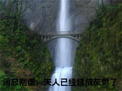 薄靳言乔星纯小说全文免费阅读最新章节_薄总别虐，夫人已经烧成灰烬了（薄靳言乔星纯）免费观看完结版_笔趣阁（薄总别虐，夫人已经烧成灰烬了）