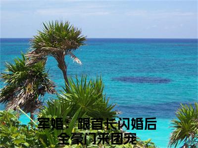 军婚：跟首长闪婚后全豪门来团宠小说（沈欢傅宴庭）完整版大结局-沈欢傅宴庭小说免费阅读