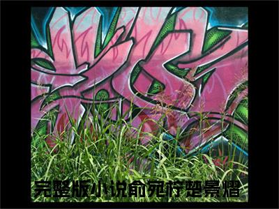 俞宛柠楚景熠小说全文（俞宛柠楚景熠）在线阅读-俞宛柠楚景熠全文免费阅读无弹窗大结局
