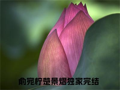 俞宛柠楚景熠（俞宛柠楚景熠txt）全文免费阅读无弹窗大结局_俞宛柠楚景熠最新章节列表_笔趣阁（俞宛柠楚景熠txt）