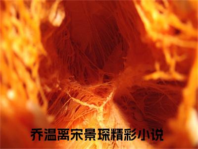 乔温离宋景琛(乔温离宋景琛)全文免费阅读无弹窗大结局_（乔温离宋景琛）的小说最新章节列表