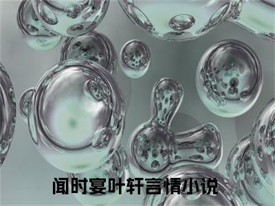闻时宴叶轩热门小说（闻时宴叶轩）最新章节阅读-闻时宴叶轩小说最后结局如何