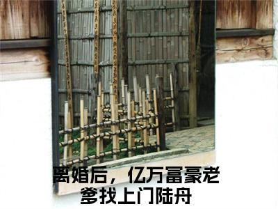 离婚后，亿万富豪老爹找上门陆舟(离婚后，亿万富豪老爹找上门陆舟)全文免费阅读无弹窗大结局_离婚后，亿万富豪老爹找上门陆舟
