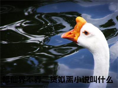 修仙界不养二货姒离(修仙界不养二货姒离）小说全文免费阅读无弹窗大结局_（修仙界不养二货姒离）修仙界不养二货姒离小说全文免费阅读最新章节列表笔趣阁（修仙界不养二货姒离）
