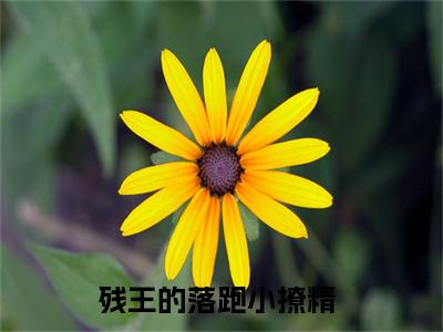 残王的落跑小撩精全本资源（亓笙殷瑾煦）全文免费阅读无弹窗大结局_亓笙殷瑾煦最新章节列表（残王的落跑小撩精）
