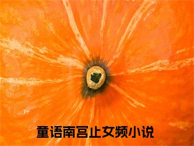 童语南宫止（童语南宫止）是什么小说-小说童语南宫止全文阅读