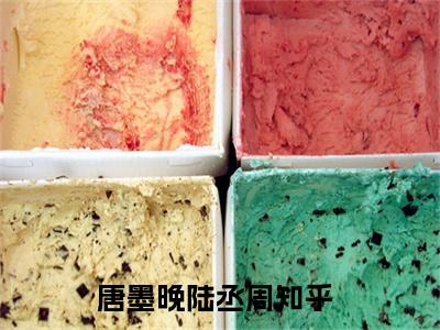 同眠于荣耀之间知乎小说全文免费阅读_（同眠于荣耀之间）唐墨晚陆丞周知乎小说最新章节列表笔趣阁