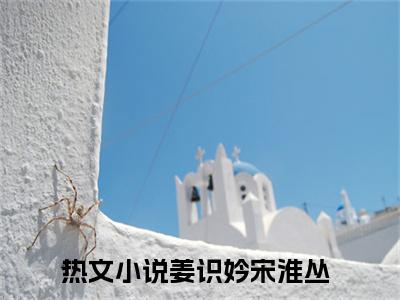 姜识妗宋淮丛（姜识妗宋淮丛）小说在线阅读_姜识妗宋淮丛免费阅读笔趣阁（姜识妗宋淮丛）