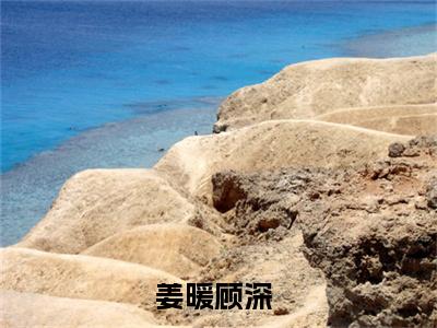 姜暖顾深（姜暖顾深）全文免费阅读无弹窗大结局_（姜暖顾深）最新章节列表笔趣阁