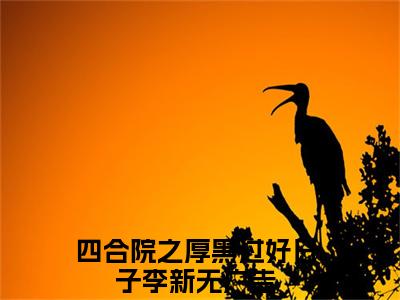 四合院之厚黑过好日子李新热门小说全文免费阅读无弹窗大结局-四合院之厚黑过好日子李新免费阅读大结局