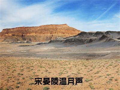 宋晏陵温月声（宋晏陵温月声）完结小说无弹窗-宋晏陵温月声全文大结局免费阅读已完结