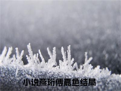 燕珩傅嘉鱼爽文免费阅读完整版-燕珩傅嘉鱼阅读大结局燕珩傅嘉鱼