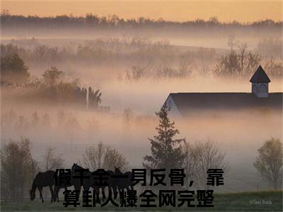 假千金一身反骨，靠算卦火爆全网小说（慕楚沈轻）全文免费读无弹窗大结局_假千金一身反骨，靠算卦火爆全网小说免费阅读-笔趣阁（慕楚沈轻）