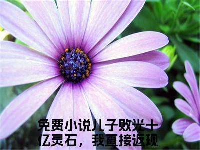 儿子败光十亿灵石，我直接返现成仙帝苏小明已完结小说《儿子败光十亿灵石，我直接返现成仙帝苏小明》在线全文阅读
