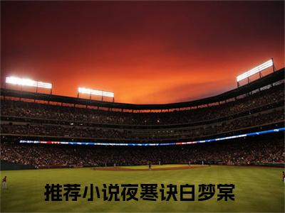 霸道夜少的小娇妻娇软又撩人（夜寒诀白梦棠）全文免费阅读无弹窗大结局_霸道夜少的小娇妻娇软又撩人小说精彩免费试读