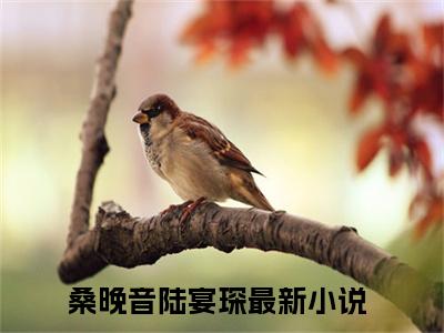 桑晚音陆宴琛（桑晚音陆宴琛）全文免费阅读最新章节_桑晚音陆宴琛小说免费最新章节列表_笔趣阁