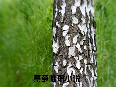 蔡萝陆琛小说大结局精彩推荐，蔡萝陆琛全文完整版在线阅读