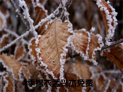 季锦衣孟兴杰免费阅读结局季锦衣孟兴杰无弹窗全本免费阅读
