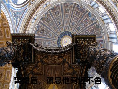 离婚后，薄总他穷追不舍（薄昀泽秦枝）全文免费阅读无弹窗大结局_离婚后，薄总他穷追不舍最新章节列表_笔趣阁