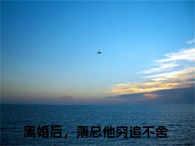 薄昀泽秦枝（离婚后，薄总他穷追不舍）全文免费阅读无弹窗大结局_离婚后，薄总他穷追不舍全文在线阅读