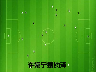 许婉宁魏钧泽小说（许婉宁魏钧泽）全文免费阅读无弹窗大结局_（许婉宁魏钧泽）许婉宁魏钧泽小说免费阅读无弹窗最新章节列表_笔趣阁（许婉宁魏钧泽）