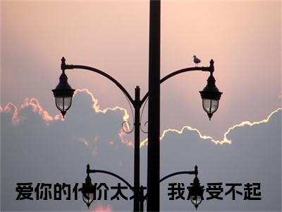 主角为爱你的代价太大，我承受不起的小说-林舒然顾宴川（爱你的代价太大，我承受不起）全文完整版阅读