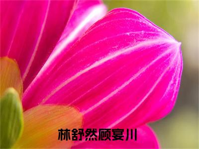 爱你的代价太大，我承受不起全文免费阅读无弹窗大结局，林舒然顾宴川小说精彩免费试读