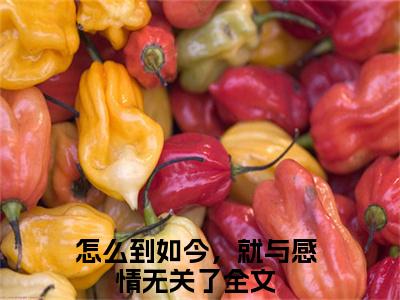 沈阙温天柔（怎么到如今，就与感情无关了全文）全文免费阅读无弹窗大结局_（怎么到如今，就与感情无关了）沈阙温天柔全文小说最新章节列表笔趣阁（怎么到如今，就与感情无关了全文）