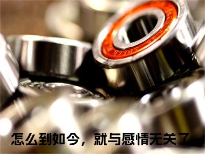 怎么到如今，就与感情无关了（沈阙温天柔）小说全文-怎么到如今，就与感情无关了无弹窗免费阅读