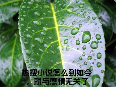 怎么到如今，就与感情无关了(沈阙温天柔)小说免费下载全本-怎么到如今，就与感情无关了（沈阙温天柔完整版）免费阅读（怎么到如今，就与感情无关了）