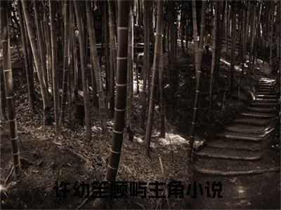 许幼笙顾屿小说六年的时光，却是一场无用功在哪里可以看-主角是许幼笙顾屿的小说六年的时光，却是一场无用功