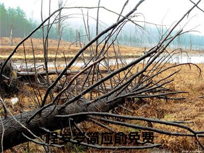 程岁岁简应俞阅读无弹窗大结局_（程岁岁简应俞阅读无弹窗）最新章节列表_笔趣阁（程岁岁简应俞）