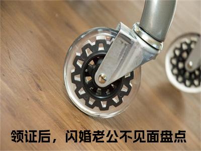领证后，闪婚老公不见面在线阅读（莫菲菲楚风城）全文免费阅读_莫菲菲楚风城最新章节列表_笔趣阁