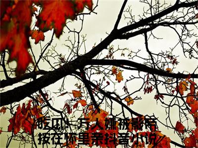 吃瓜！万人嫌被影帝按在怀里亲全文免费阅读_（苏棠许景淮免费阅读无弹窗）吃瓜！万人嫌被影帝按在怀里亲最新章节列表笔趣阁（苏棠许景淮）
