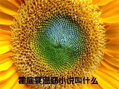 小说（霍庭宴温窈）免费阅读-小说（霍庭宴温窈）无弹窗大结局 霍庭宴温窈全文在线赏析最新章节列表_笔趣阁