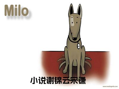 谢锦云宋谦小说（谢锦云宋谦）免费阅读全文-完整版小说（谢锦云宋谦）最新在线阅读
