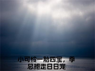 小可怜一胎四宝，季总抱走日日宠全文免费阅读_盛朝朝季宴礼（小可怜一胎四宝，季总抱走日日宠）小说在线阅读最新章节列表笔趣阁