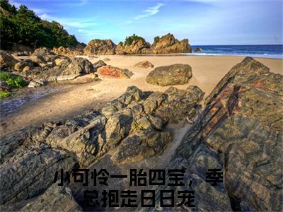 小可怜一胎四宝，季总抱走日日宠(盛朝朝季宴礼)全文免费阅读大结局_(小可怜一胎四宝，季总抱走日日宠)盛朝朝季宴礼免费在线阅读无删减_笔趣阁