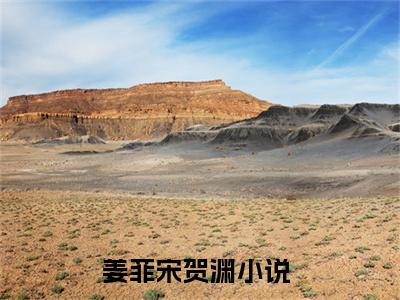 姜菲宋贺渊免费阅读（姜菲宋贺渊）全文免费阅读无弹窗大结局_姜菲宋贺渊免费阅读最新章节列表_笔趣阁（姜菲宋贺渊）